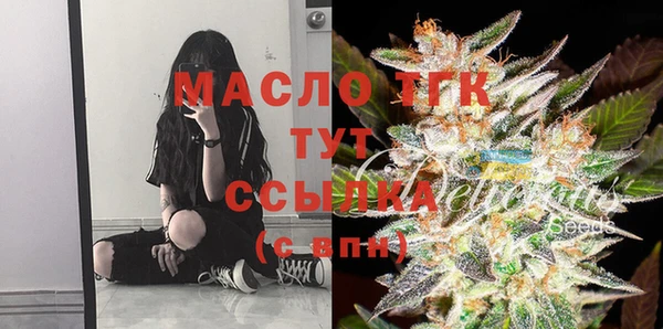тгк Вяземский