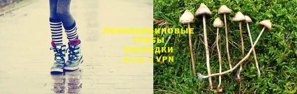 хмурый Вязники