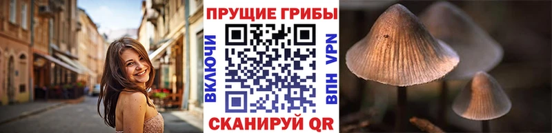 Псилоцибиновые грибы мицелий Дигора