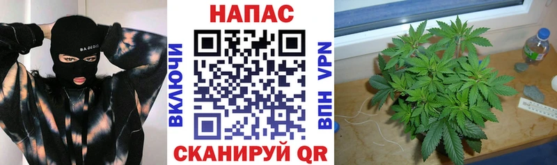 блэк спрут сайт  Дигора  Бошки марихуана AK-47 